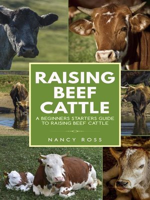 cover image of Raising Beef Cattle